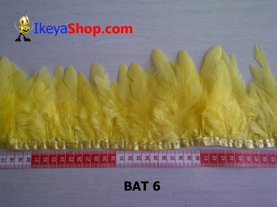 BAT 6  large2